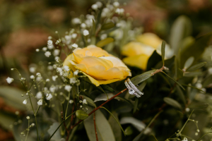 Lab-Grown Diamonds: The Ethical Engagement Ring Trend