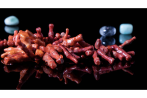 Coral Gemstone