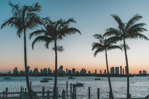 The Law of Engagement Rings in Florida: Who Keeps the Ring After a Breakup?