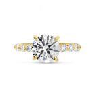 Round Cut High Setting Diamond Engagement Ring Top View