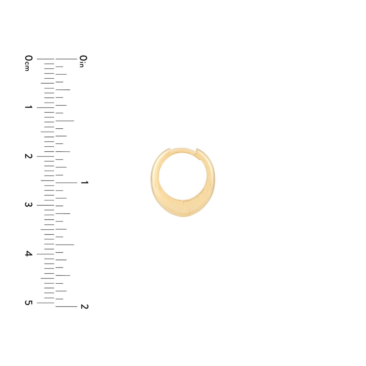 Oval Shape Gold Huggie Earrings