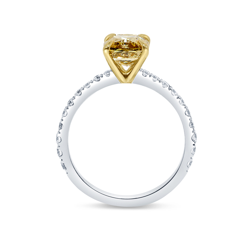 Yellow Diamond Cushion Micro Setting Engagement Ring