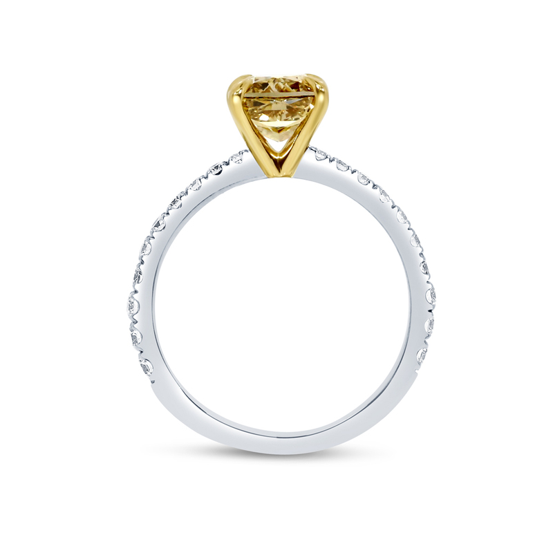 Yellow Diamond Cushion Micro Setting Engagement Ring
